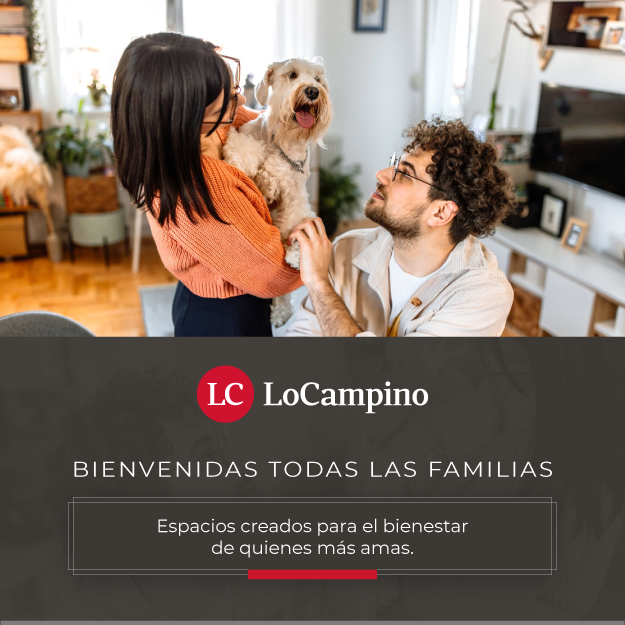 Proyecto destacado Lo Campino